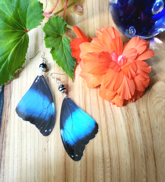 Black & Blue Butterfly Wing Earrings