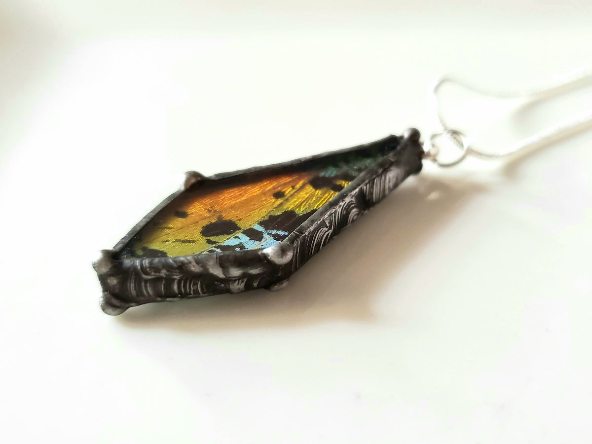 Madagascan Sunset Moth Wing Beveled Glass Pendant