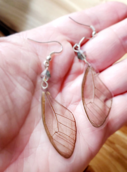 Clear Butterfly Wing Earrings, Cithaerias merolina Glasswing