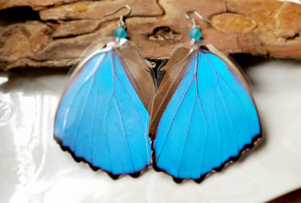 Large Blue Butterfly Wing Earrings