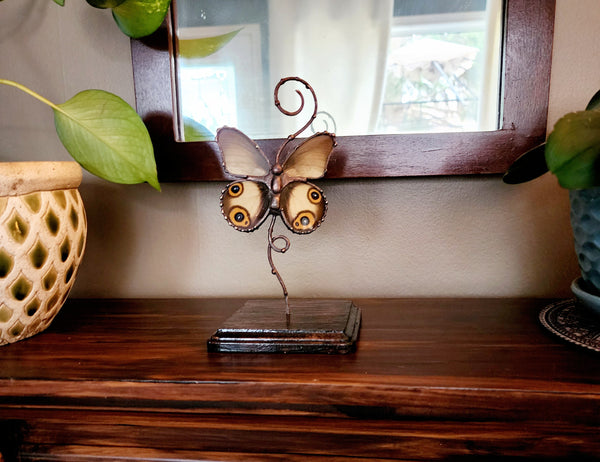 Grey Butterfly with Eyespots On Copper & Wood Stand