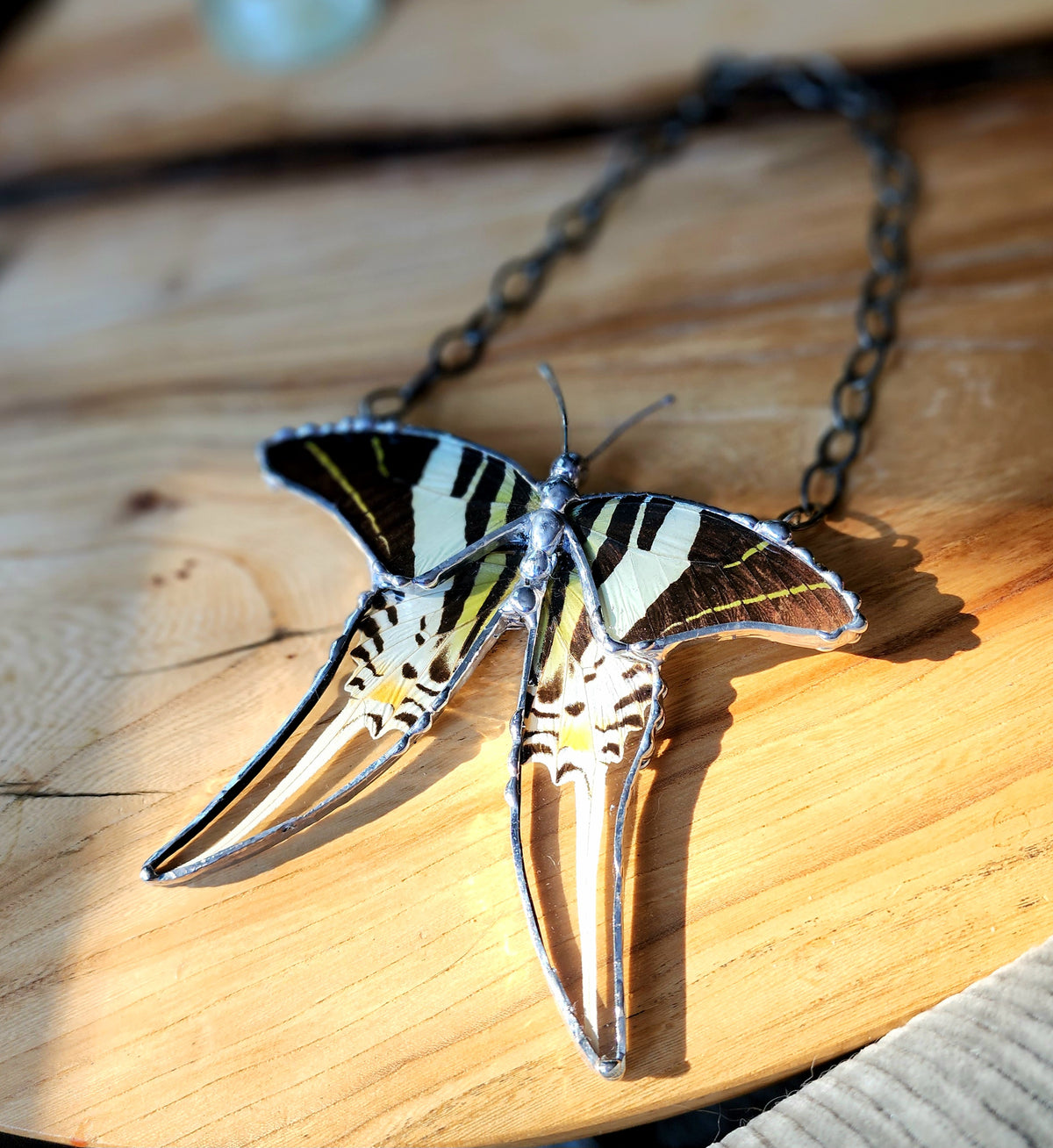Hanging Decor Five-Bar Swallowtail Butterfly, Real Butterfly Decor