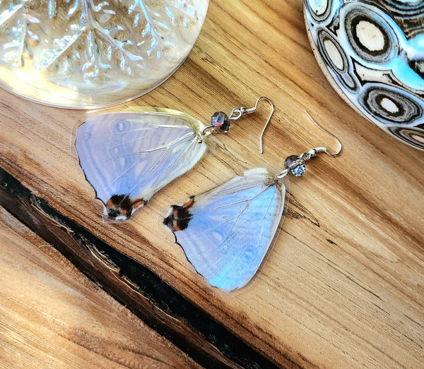 Lavendar Butterfly Wing Earrings, Morpho Sulkoskyi Butterfly Earrings