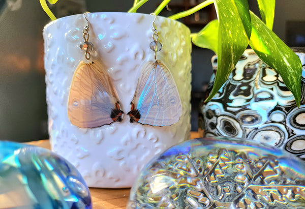 Lavendar Butterfly Wing Earrings, Morpho Sulkoskyi Butterfly Earrings