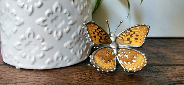 Tan & Metallic Silver-Spotted Butterfly Statue, Great spangled Fritillary Butterfly, Speyeria cybele