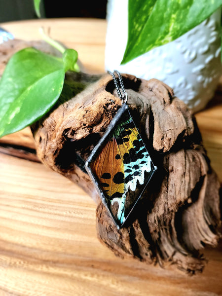 Diamond Shaped Moth Pendant, Madagascan Sunsrt Moth