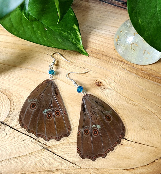 Blue Butterfly Wing Earrings, Morpho Butterfly Earrings