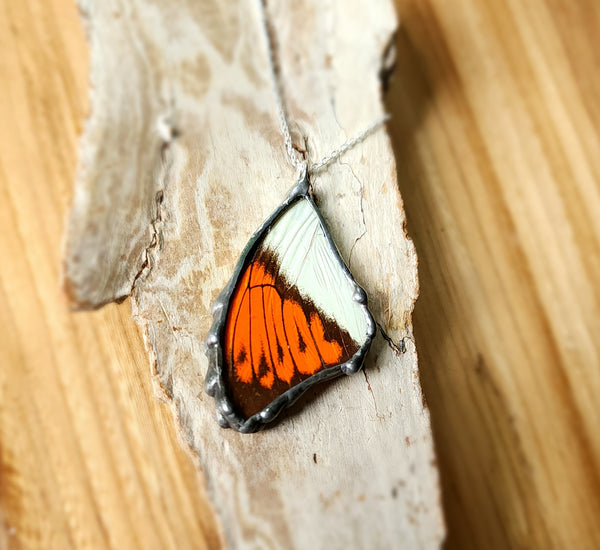 Orange & White Butterfly Pendant, The Great Orange-Tip Butterfly