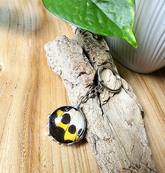 Black and Yellow Troid Butterfly Wing Keychain