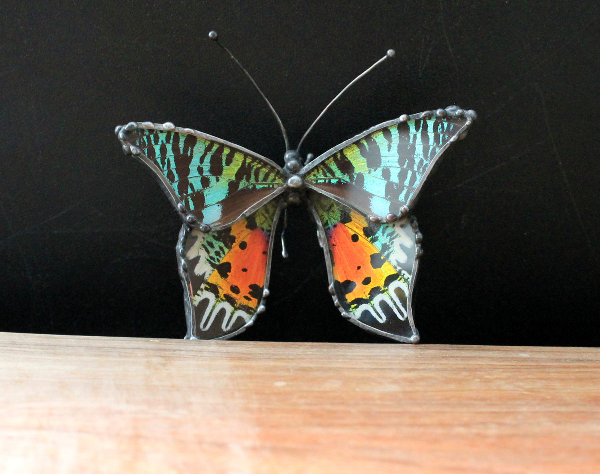 Madagascan Sunset Moth Glass Tabletop Figurine