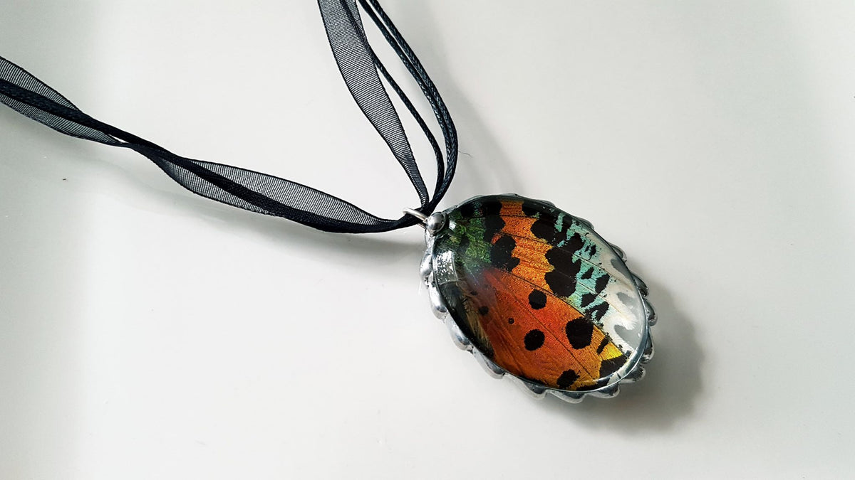 Madagascan Sunset Moth Wing Large Oval Glass-Dome Pendant