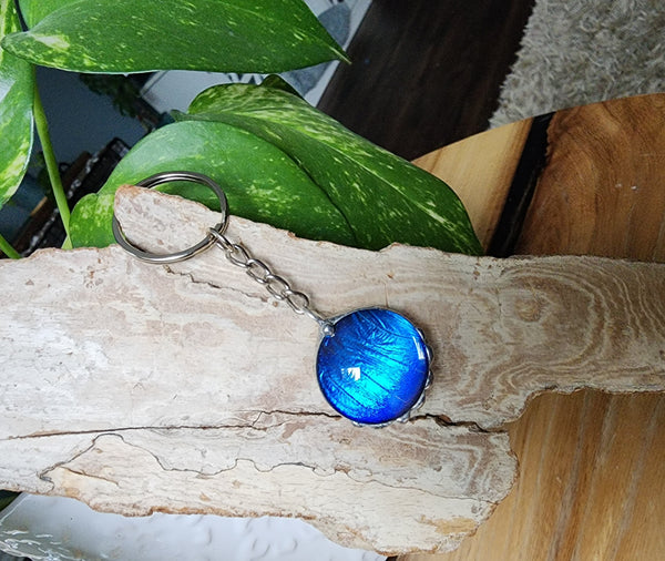 Blue Morpho Butterfly keychain
