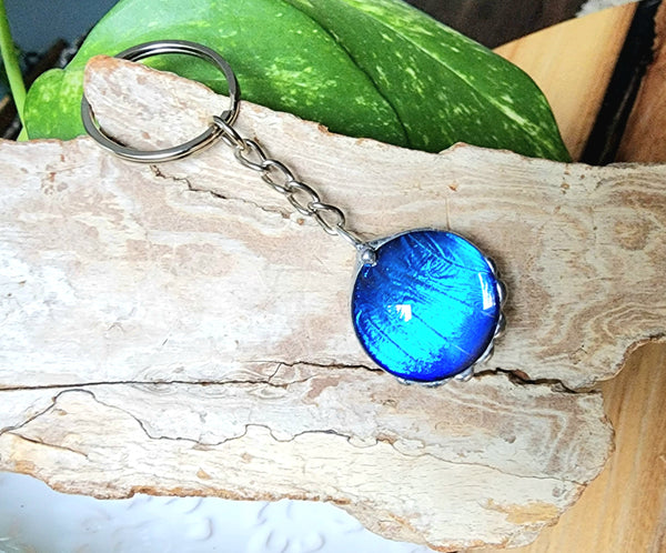 Blue Morpho Butterfly keychain