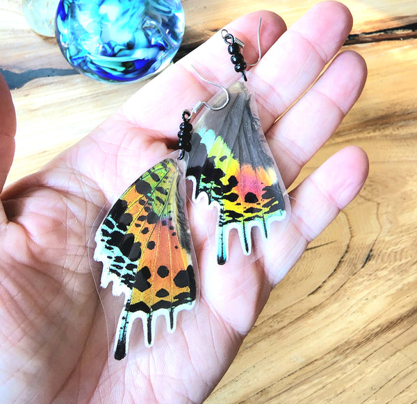 Madagascan Sunset Moth Wing Earrings