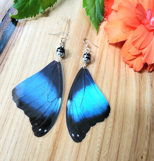 Achilles Blue Morpho Wing Black Spinel Earrings