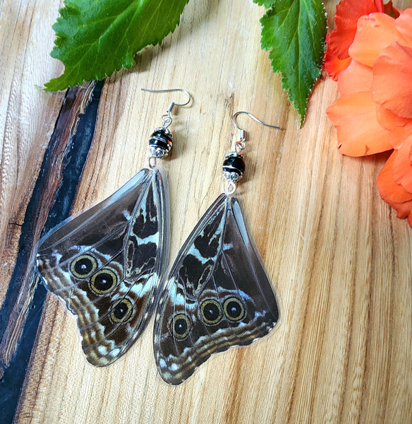 Black & Blue Butterfly Wing Earrings