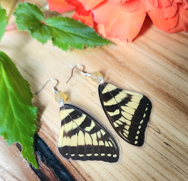 Eastern Tiger Swallowtail Earrings, Yellow & Black Butterfly Wing Jewelry