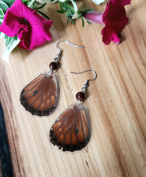 Queen Butterfly Hindwing Earrings, Real Brown Butterfly Earrings