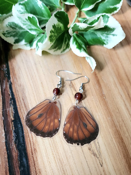 Queen Butterfly Hindwing Earrings, Real Brown Butterfly Earrings