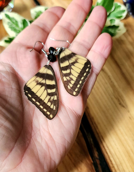 Yellow Canadian Tiger Swallowtail Earrings, Yellow & Black Butterfly