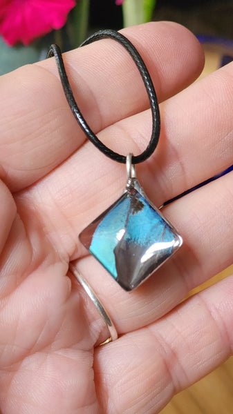 Blue Morpho Fagardi Butterfly Wing Diamond Shaped Pendant