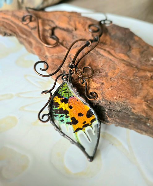 Copper Vine Torc with Madagascan Sunset Moth