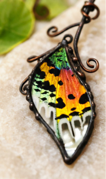 Copper Vine Torc with Madagascan Sunset Moth