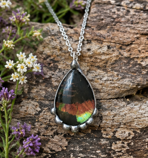 Madagascan Sunset Moth Hindwing Teardrop Glass Pendant