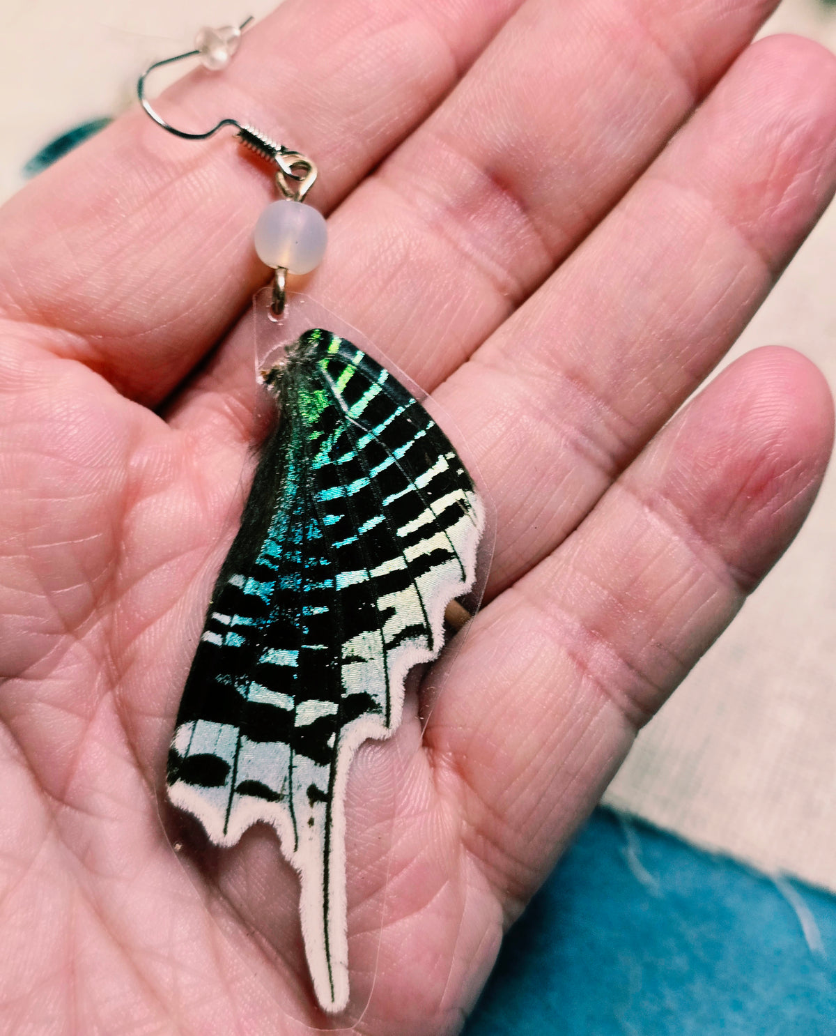 Green-banded Urania Moth Wing Earrings