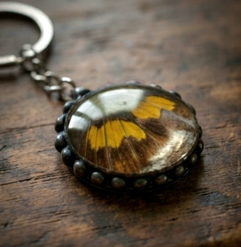 Orange Sulphur Butterfly Wing Keychain