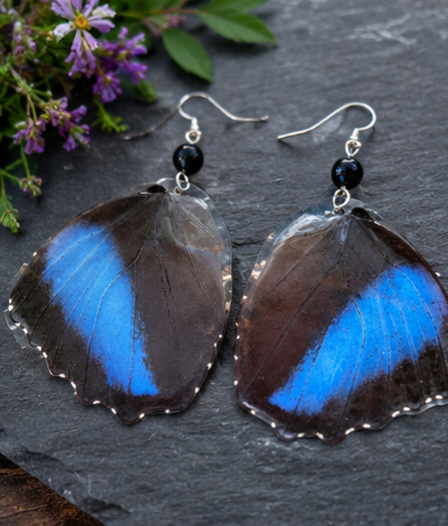 Blue Morpho Achilles Butterfly Laminated Hindwing Earrings