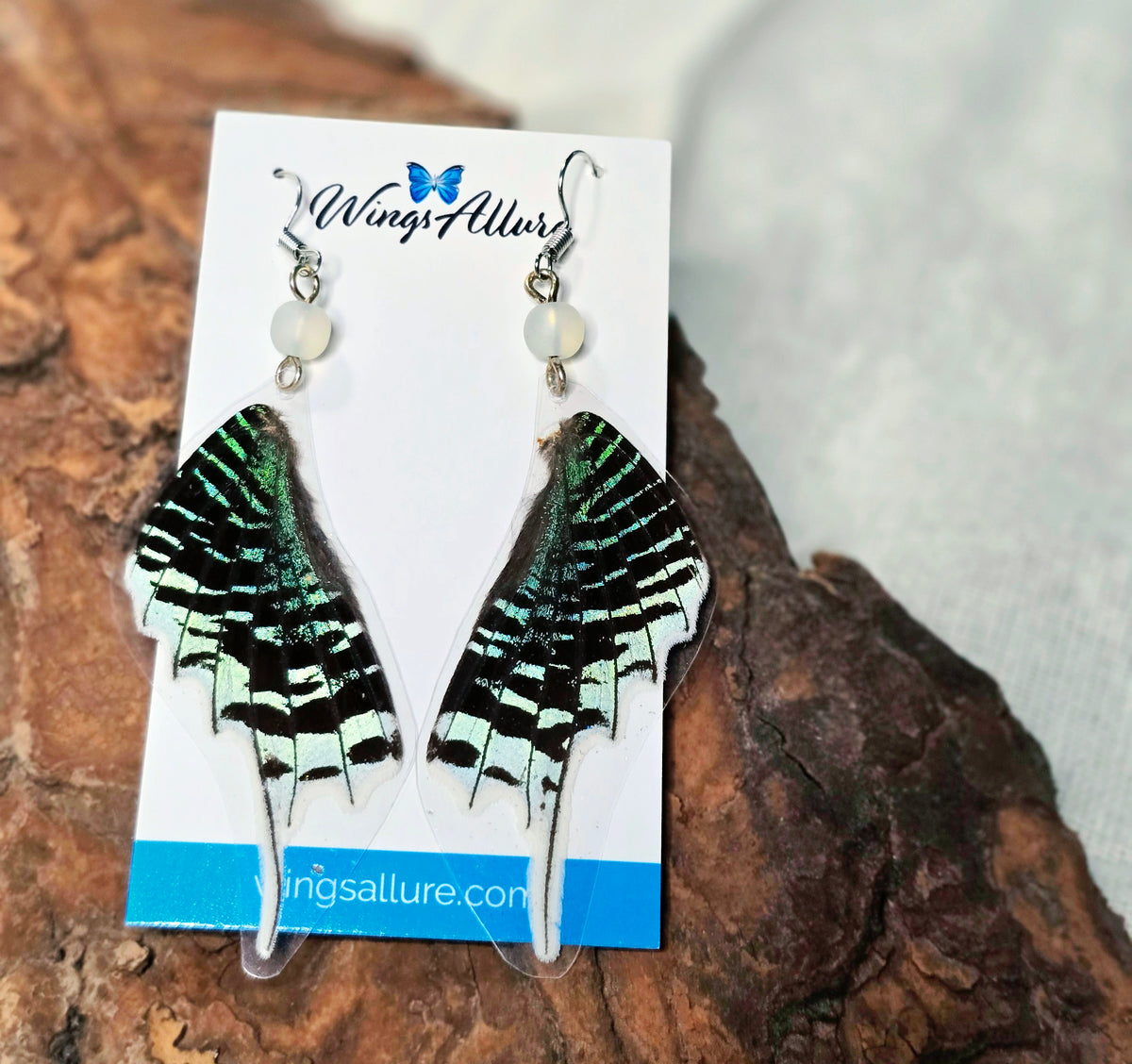 Green-banded Urania Moth Wing Earrings