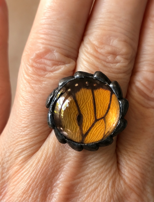 Monarch Butterfly Hindwing Glass-Dome Adjustable Ring