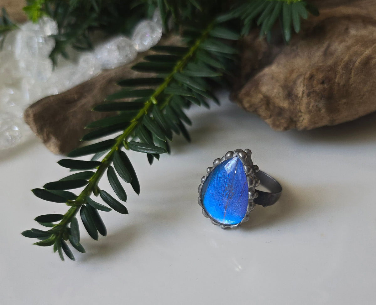Blue Morpho (Morpho menelaus) Butterfly Wing Adjustable Ring