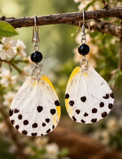 Calypso Caper White Butterfly Laminated Wing Earrings with Black Onyx