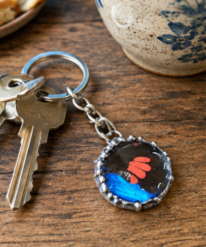 Blue Morpho and Red Mormon Butterfly Wing Keychain