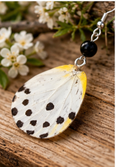 Calypso Caper White Butterfly Laminated Wing Earrings with Black Onyx