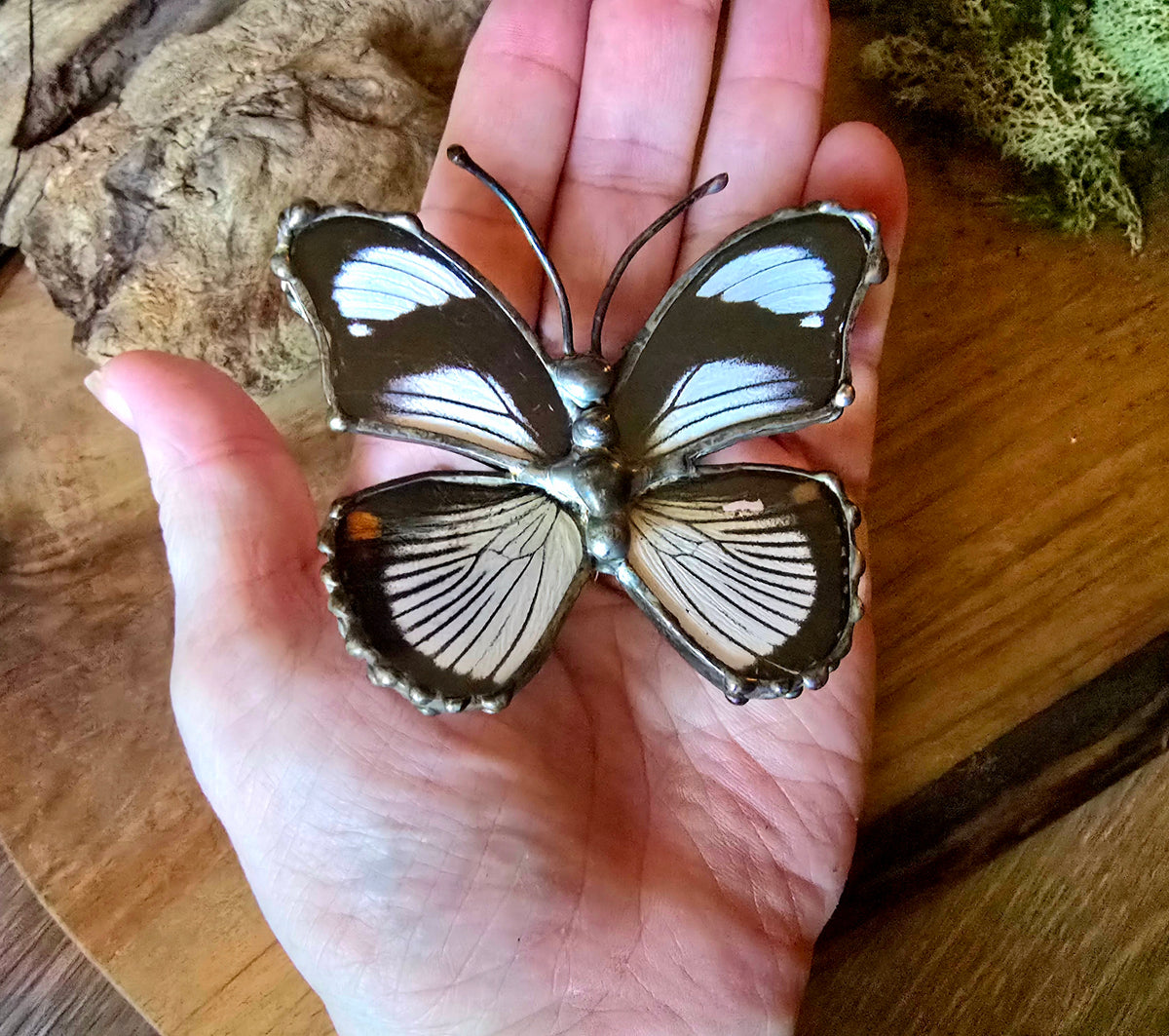 Red-Spot Diadem Butterfly Figurine