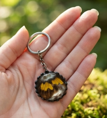 Orange Sulphur Butterfly Wing Keychain
