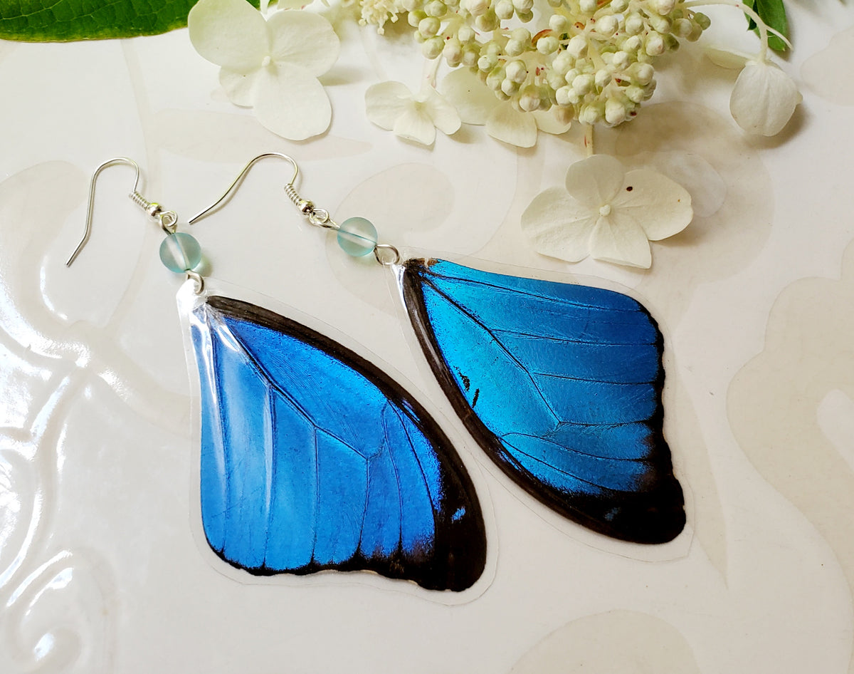 Morpho Menelaus Blue Forewing Laminated Butterfly Earrings