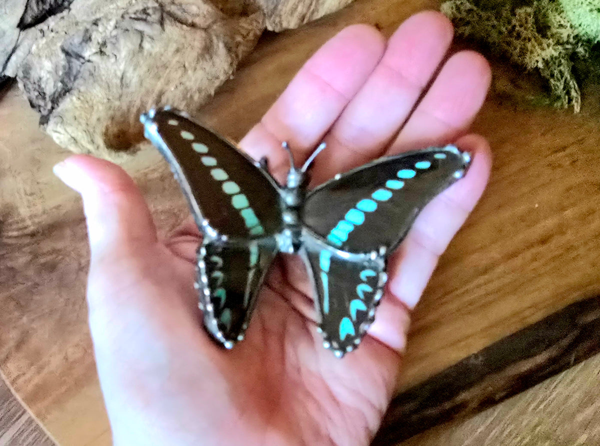 Common Bluebottle – Real Butterfly Decor Figurine