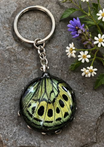 Leprieur’s Glory Butterfly Hindwing Round Glass Keychain