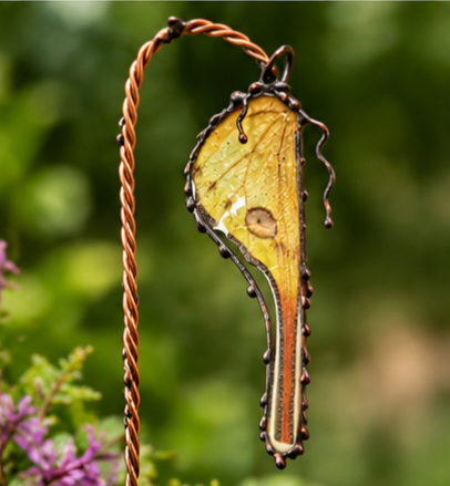 Madagascan Moon Moth Glass and Copper Display