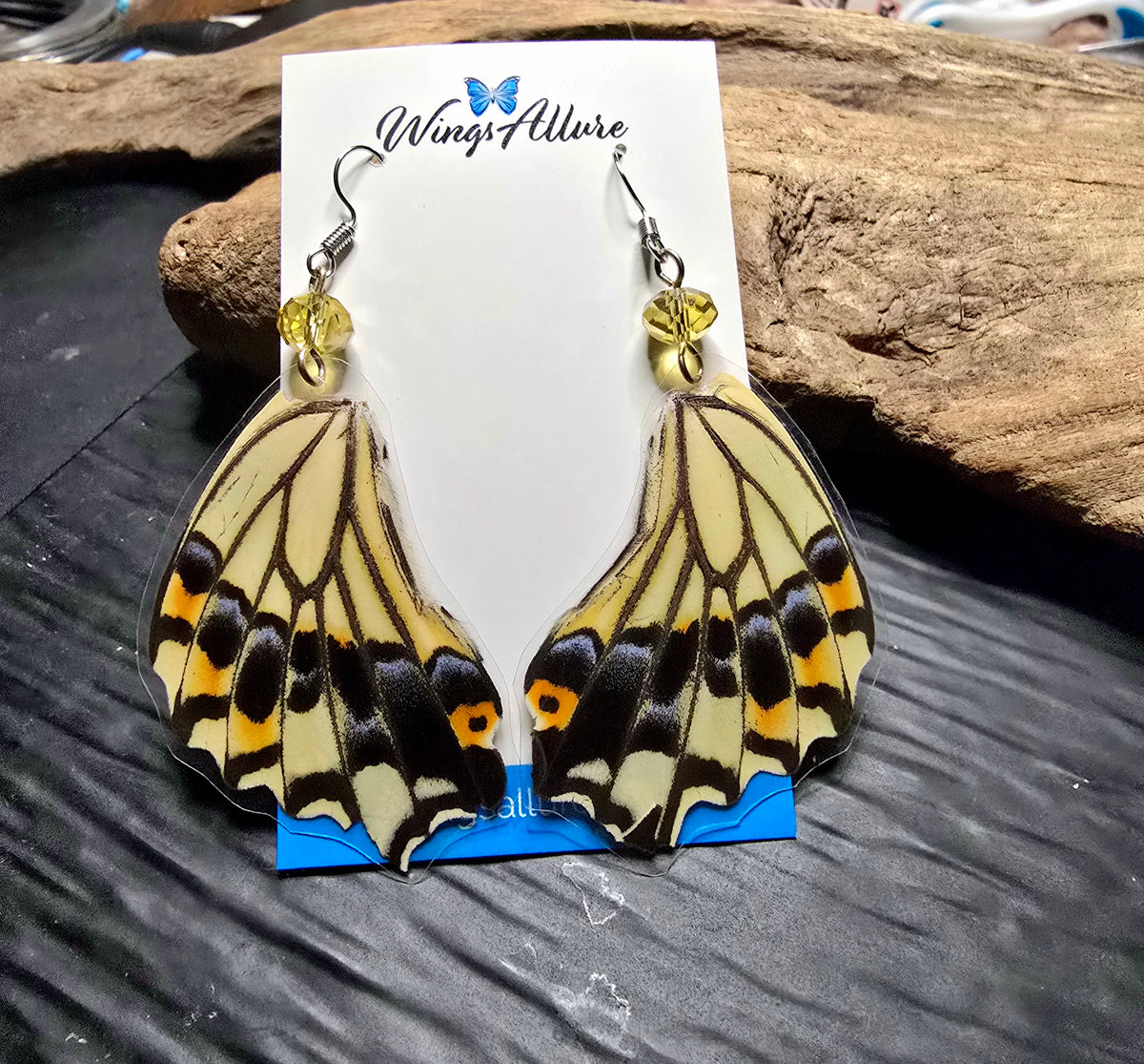 Eastern Tiger Swallowtail Laminated Hindwing Earrings