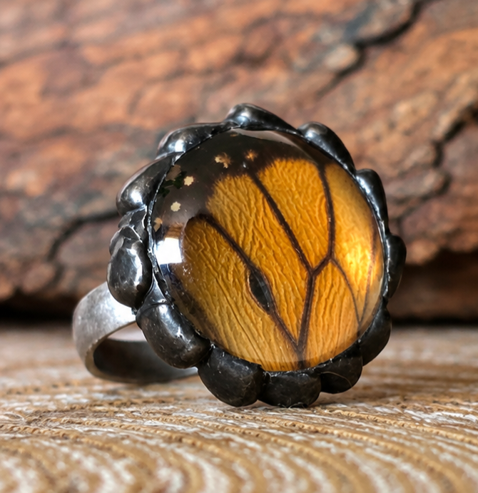 Monarch Butterfly Hindwing Glass-Dome Adjustable Ring