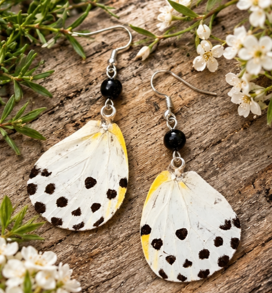 Calypso Caper White Butterfly Laminated Wing Earrings with Black Onyx