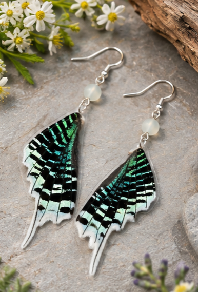 Green-Banded Urania Moth Hindwing Laminated Earrings (Copy)