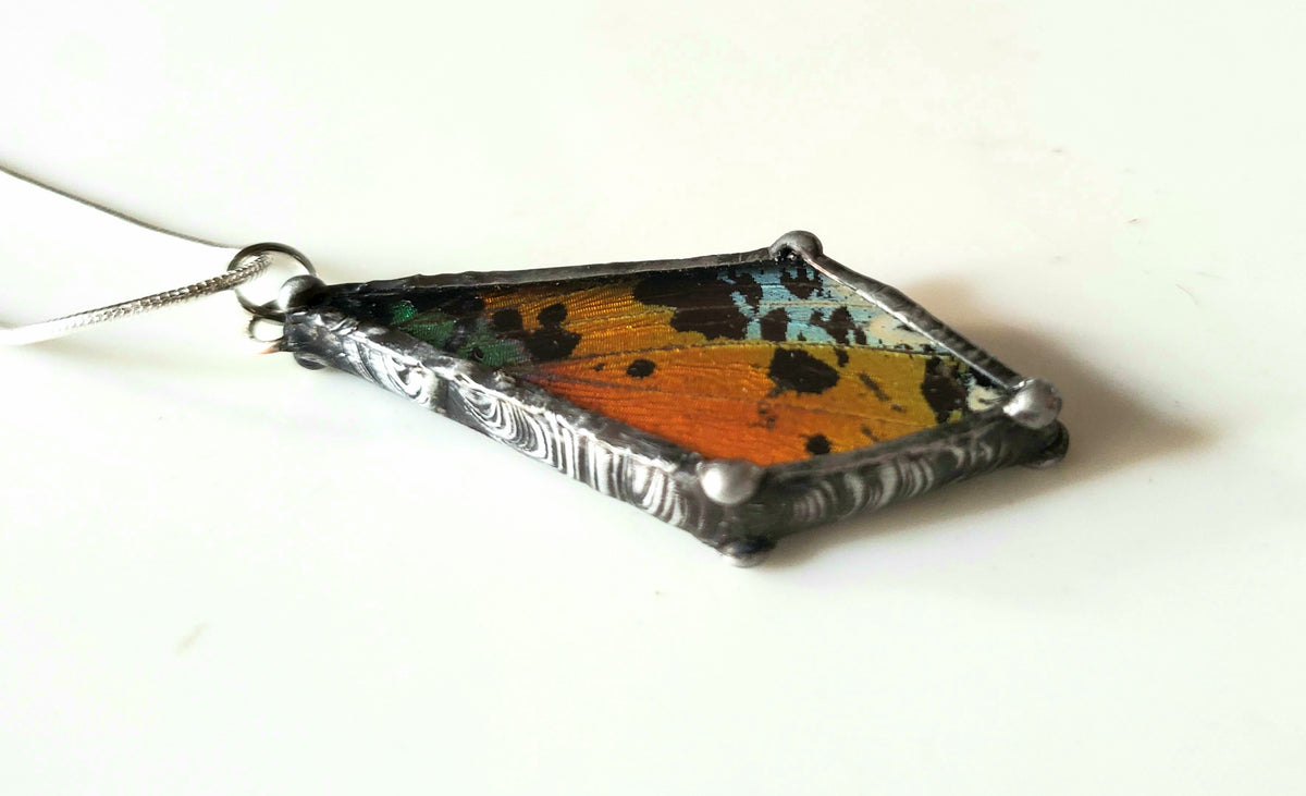 Madagascan Sunset Moth Wing Beveled Glass Pendant