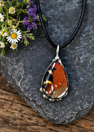 European Peacock Butterfly Wing Pendant