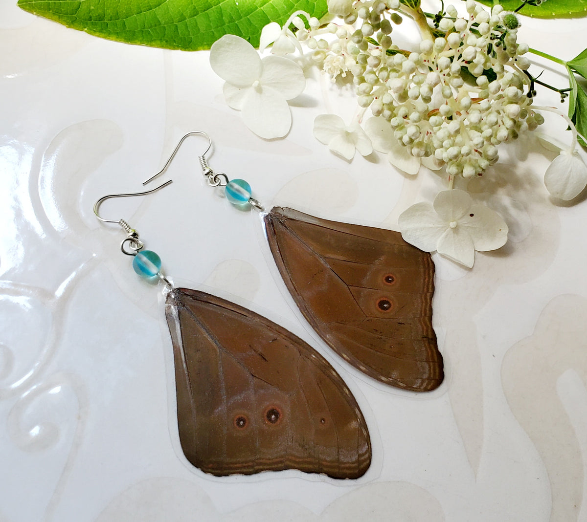 Morpho Menelaus Blue Forewing Laminated Butterfly Earrings